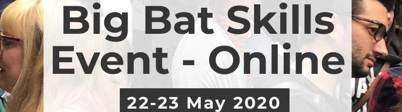 The Big Bat Skills Event – online Fri 22nd to Sat 23rd May 2020 ...