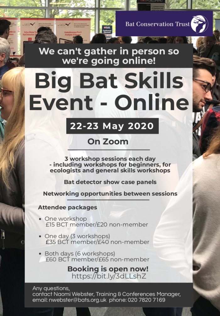 Big Bat Skills Event - online flyer