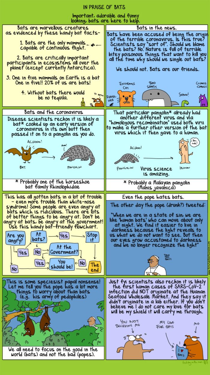 How Good Are Bats - by First Dog on the Moon