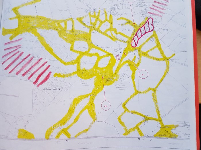 Figure1 - Extract from EN403(2000) - Asham bat foraging areas/flight routes in yellow. Approx foraging area within red shading. Point 2 is the Asham Stone Conveyor Tunnel roost.