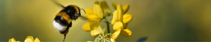 CALL TO ACTION: Sign the petition to Save Nature Now