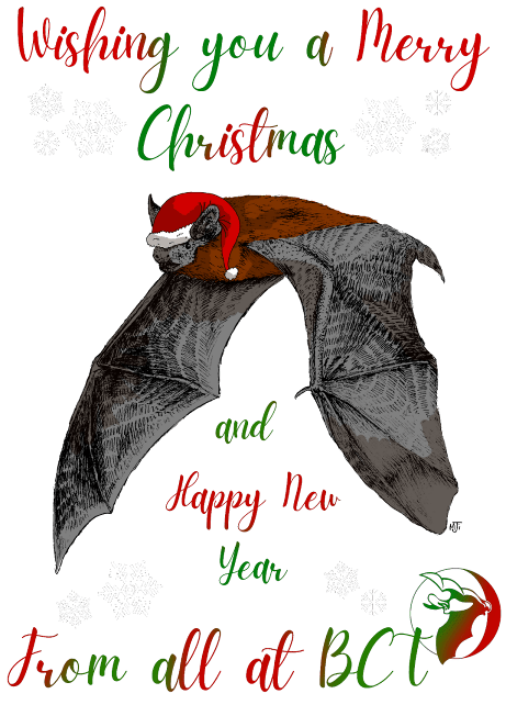 BCT Christmas Card 2021