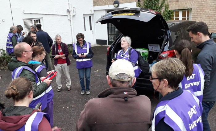 Taunton Big Bat Guided walk group