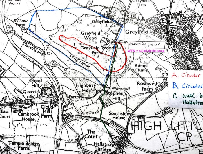 High Littleton and Hallatrow Environmental Group Big Bat Count