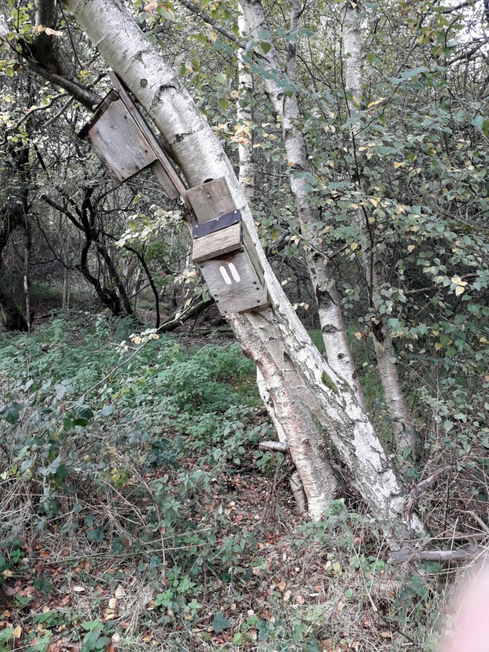 The famous leaning tower of Ham Wall. Box 12 contains ""sh*t loads of bat sh*t"