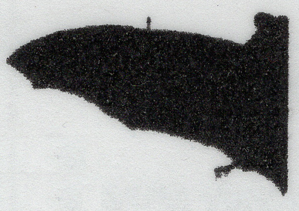 pipistrelle wing shape