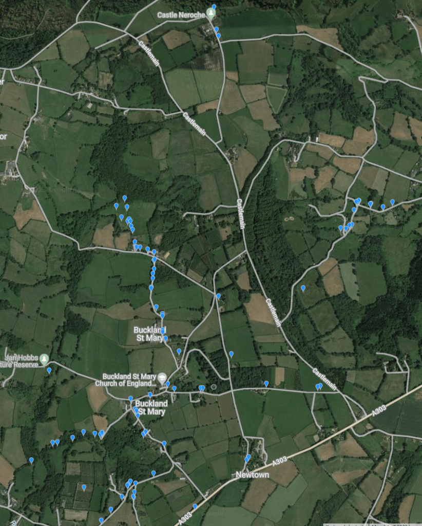 Results map for Buckland St Mary Big Bat Count