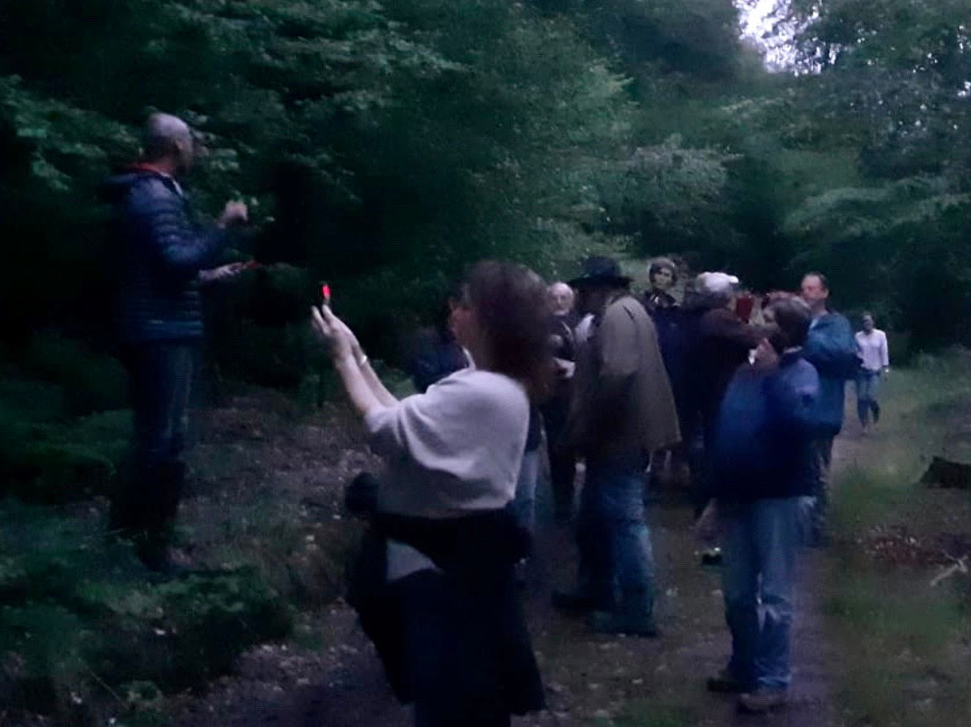 Wiveliscombe Bat Walk 27th July 2023