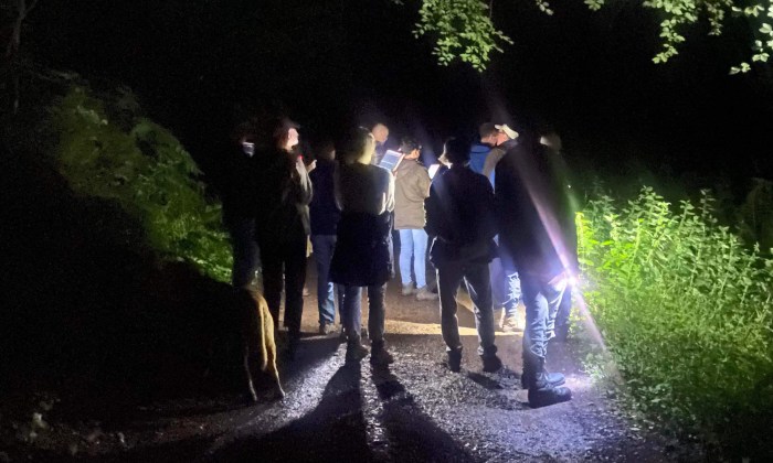 Wiveliscombe Bat Walk header