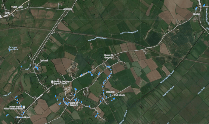 Stoke St Gregory Big Bat Count results map