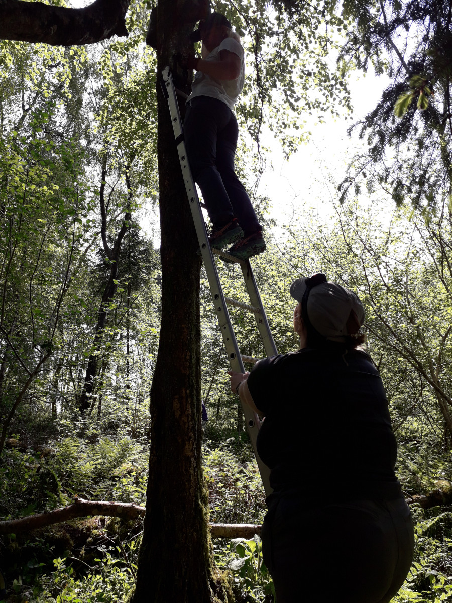 Harridge woods - Checking boxes - 12th May 2024
