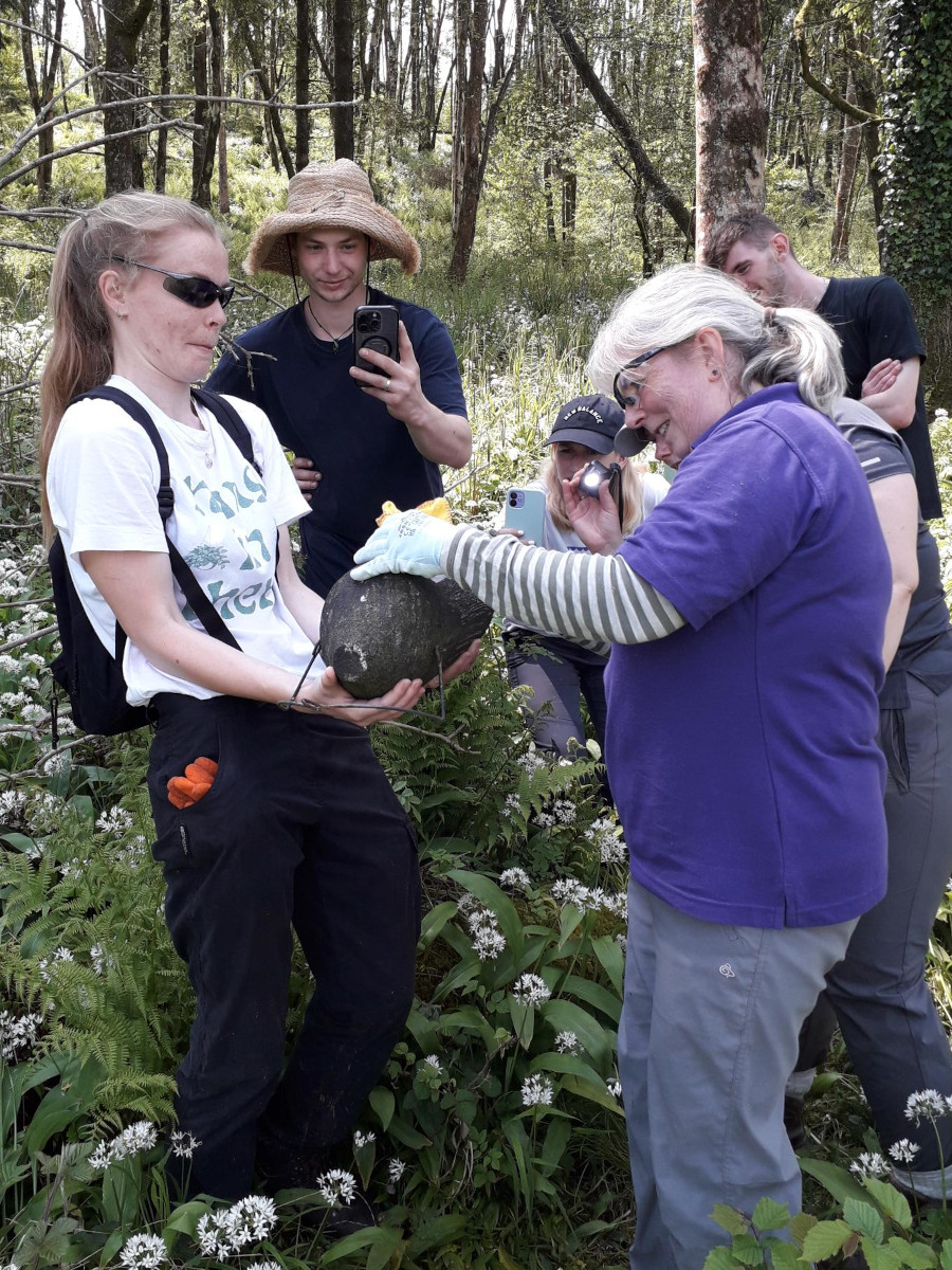 Harridge woods - Removing a hornet - 12th May 2024