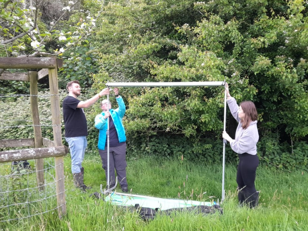 240517 - Setting up Harp Trap at Montacute
