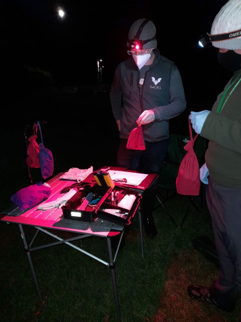 240517 - Processing station