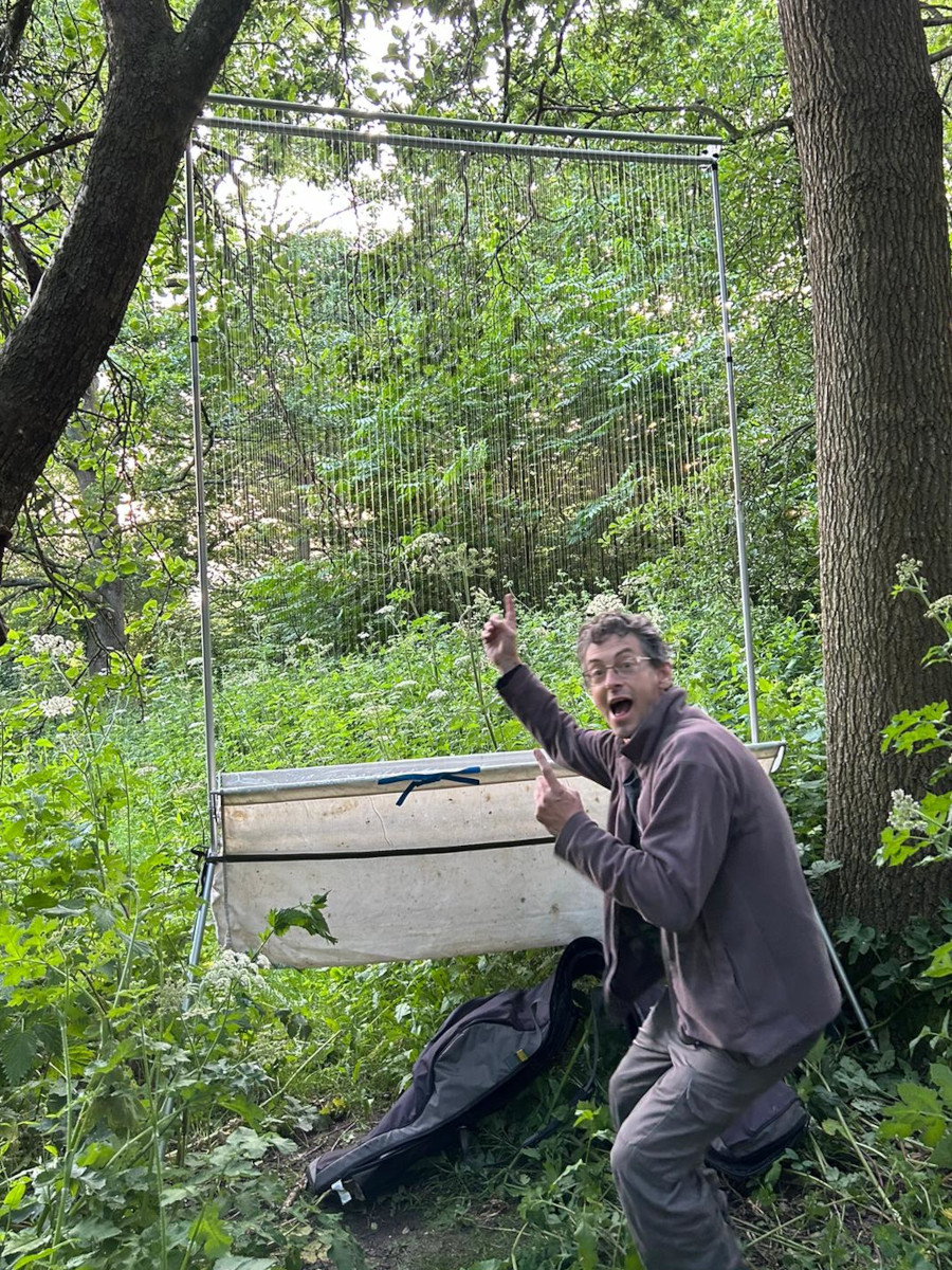 Paul playing the harp at Tintinhull