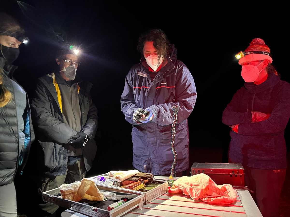 Tintinhull Processing table -1st June 2024