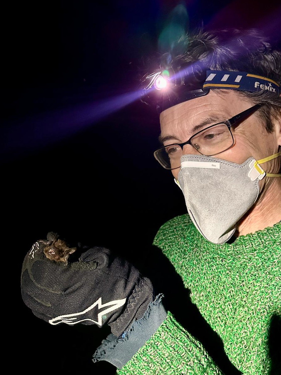 Montacute - 31st May 2024