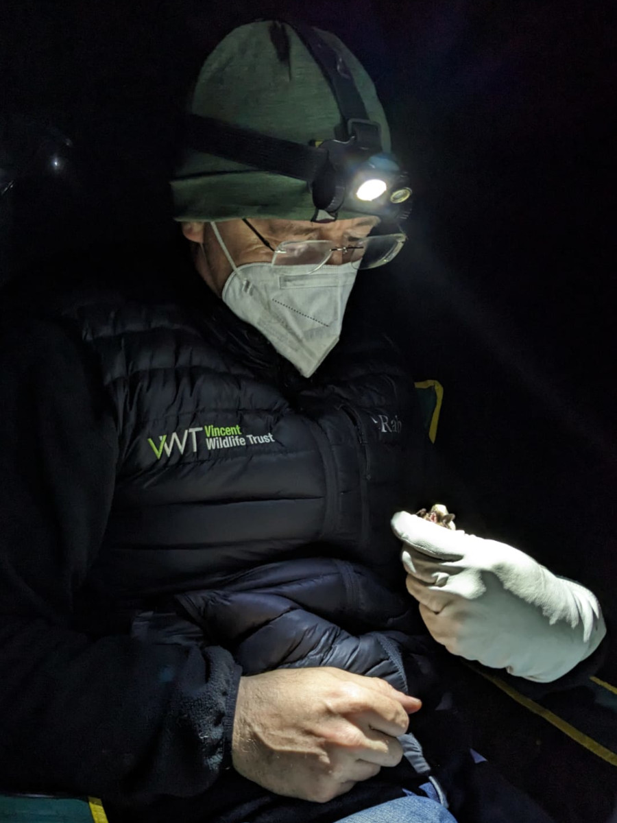 Montacute - 31st May 2024