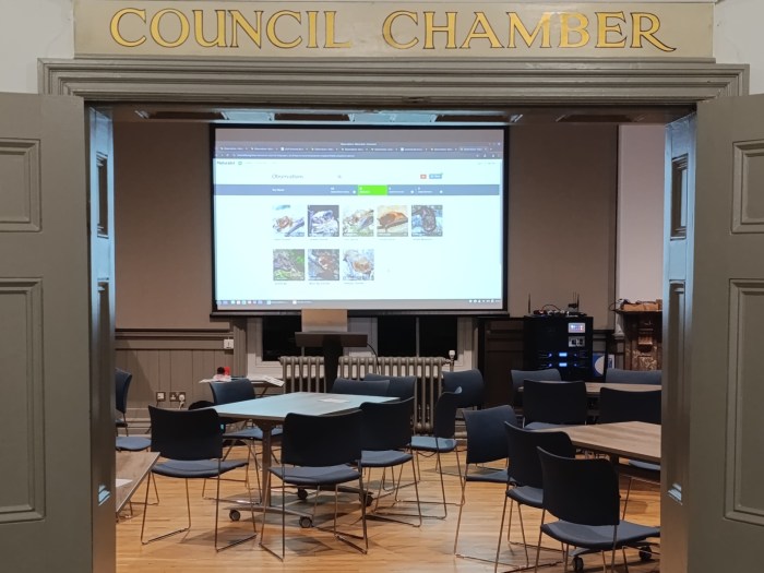 Results ready for counters to return at Frome Big Bat Count #1 - 2May25