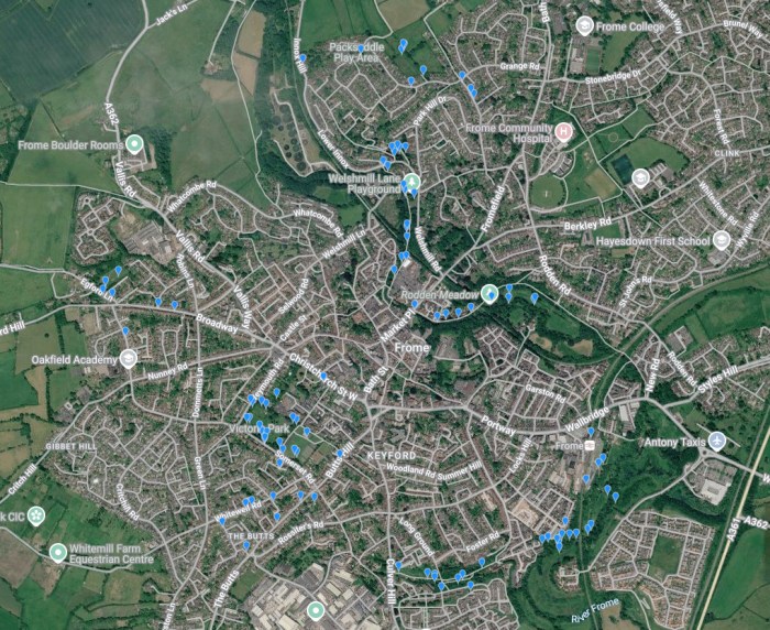 Frome Big Bat Count, on the night results - 1st May 2026